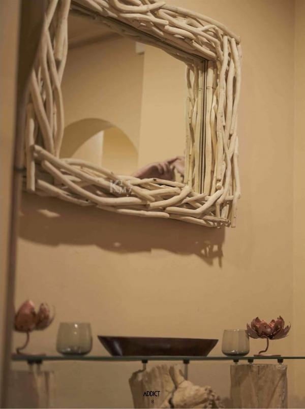 Addict--The-Premium-Issue